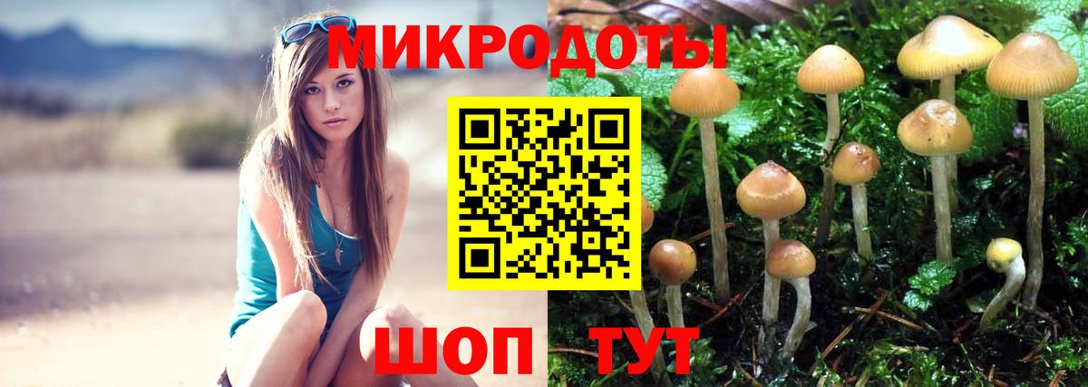 Щёлково  Псилоцибиновые грибы Psilocybe  Вход с VPN  Галлюциногенные грибы прущие грибы 
